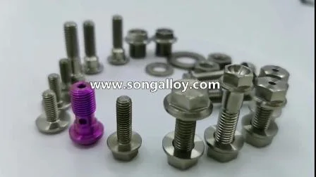 Titanium Alloy Screws and Fasteners for Industry